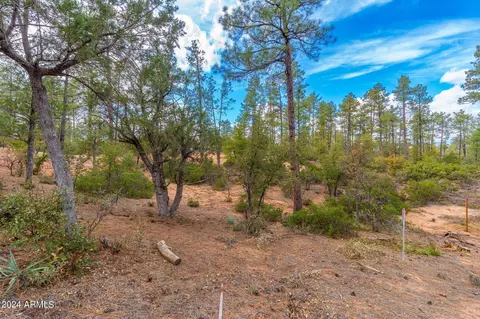 3109 E Game Trl #250, Payson, AZ 85541 photo 8