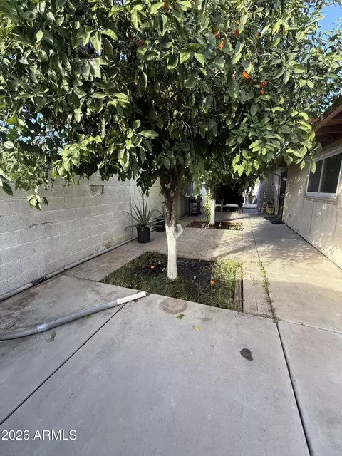 Exterior - 1909 E 6th Ave E, Mesa, AZ 85204 photo 5 of 9