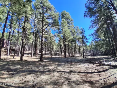 13696 E Kings Deer Rd #-, Parks, AZ 86018