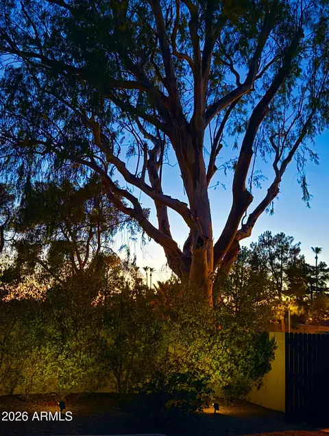 Other - 3201 E Colter St, Phoenix, AZ 85018 photo 8 of 12