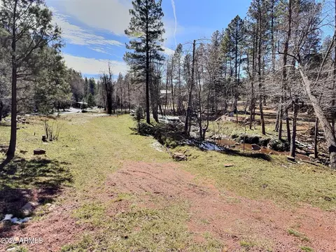 Other - 415 E Rim Estates Trl, Payson, AZ 85541 photo 20 of 43