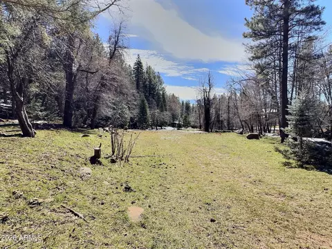 Other - 415 E Rim Estates Trl, Payson, AZ 85541 photo 21 of 43