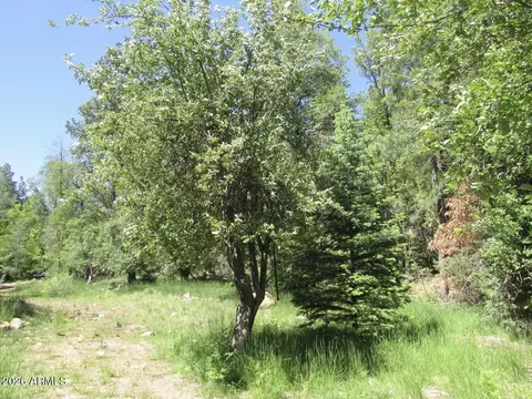 Other - 415 E Rim Estates Trl, Payson, AZ 85541 photo 16 of 43