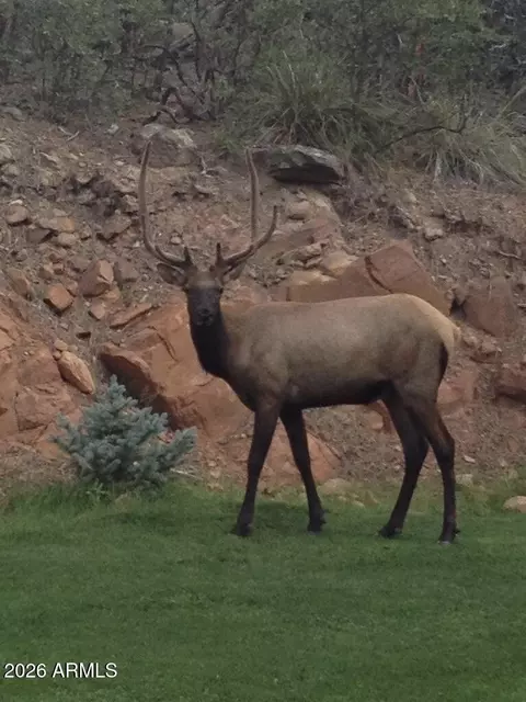 Other - 415 E Rim Estates Trl, Payson, AZ 85541 photo 27 of 43