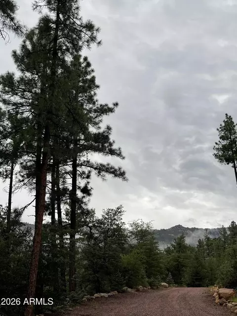 Other - 415 E Rim Estates Trl, Payson, AZ 85541 photo 43 of 43