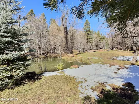 Other - 415 E Rim Estates Trl, Payson, AZ 85541 photo 22 of 43