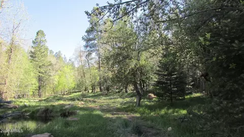 Other - 415 E Rim Estates Trl, Payson, AZ 85541 photo 35 of 43
