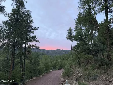 Other - 415 E Rim Estates Trl, Payson, AZ 85541 photo 16 of 17