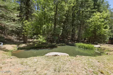 Other - 415 E Rim Estates Trl, Payson, AZ 85541 photo 10 of 17