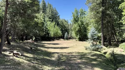 Other - 415 E Rim Estates Trl, Payson, AZ 85541 photo 9 of 17