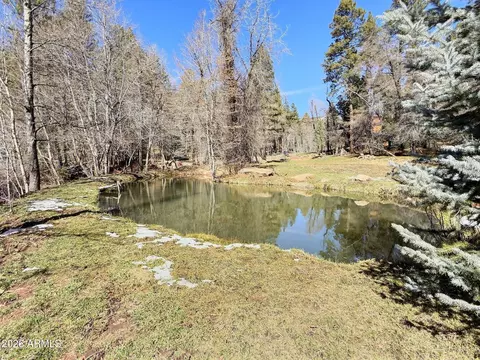 Other - 415 E Rim Estates Trl, Payson, AZ 85541 photo 25 of 43