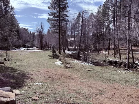 Other - 415 E Rim Estates Trl, Payson, AZ 85541 photo 19 of 43