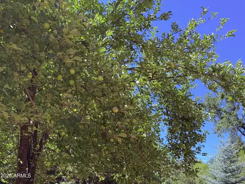 Other - 415 E Rim Estates Trl, Payson, AZ 85541 photo 11 of 17
