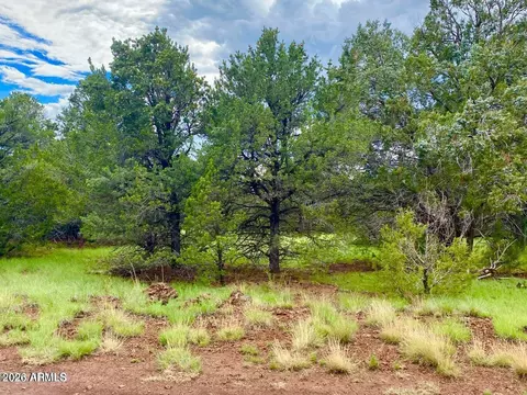 6482 N Pinonharvest Boulevard Blvd #-, Williams, AZ 86046
