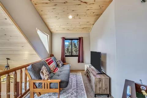 Other - 3028 Mearns Ln, Overgaard, AZ 85933 photo 6 of 14