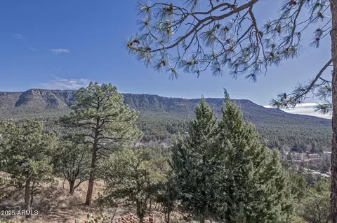 6169 W Skyview Cir, Pine, AZ 85544 photo 20