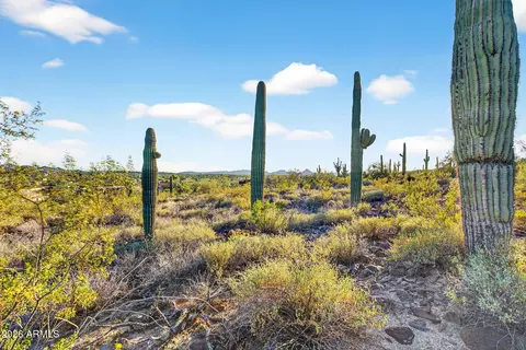 2915 W Dolores Rd #-, Phoenix, AZ 85086 photo 30