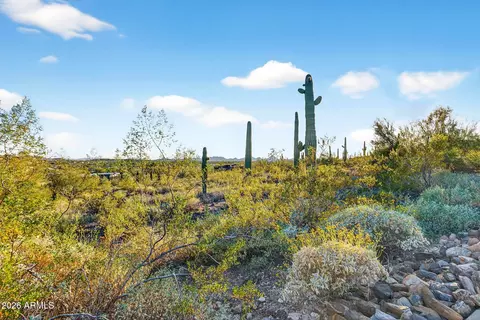 2915 W Dolores Rd #-, Phoenix, AZ 85086 photo 5