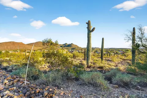 2915 W Dolores Rd #-, Phoenix, AZ 85086 photo 6