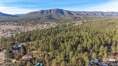 5920 W Robin Way, Pine, AZ 85544 photo 25