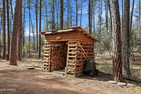 5920 W Robin Way, Pine, AZ 85544 photo 40