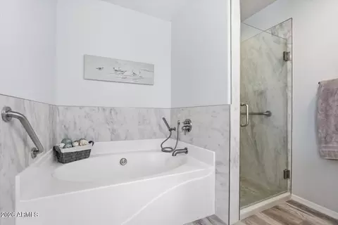 Bath - 8249 E Posada Ave, Mesa, AZ 85212 photo 3 of 4
