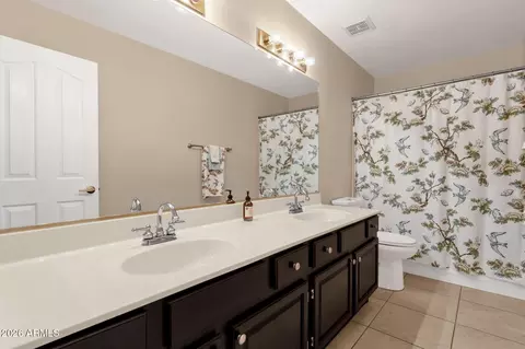 Bath - 2639 E Verbena Dr, Phoenix, AZ 85048 photo 1 of 8