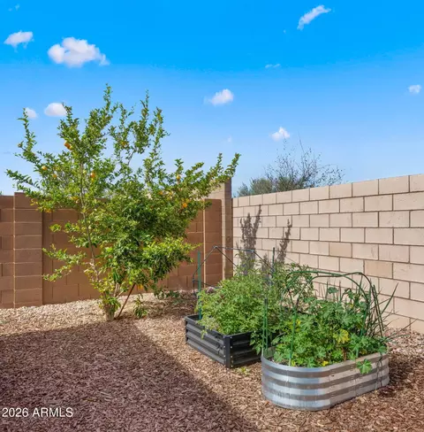 Exterior - 10562 E Corbin Ave, Mesa, AZ 85212 photo 5 of 8