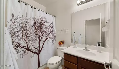 Bath - 10562 E Corbin Ave, Mesa, AZ 85212 photo 1 of 4