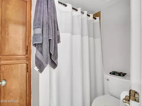 Bath - 1927 E Hampton Ave #212, Mesa, AZ 85204 photo 2 of 3
