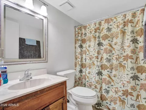 Bath - 1927 E Hampton Ave #212, Mesa, AZ 85204 photo 3 of 3