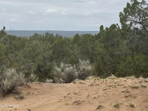 lot78 Witch Well Rnch #78, Saint Johns, AZ 85936