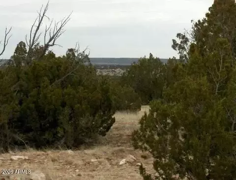 lot302 Chevelon Canyon Rnch #302, Heber, AZ 85928