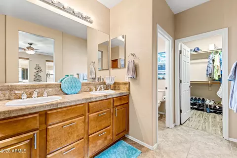 4367 E Ficus Way, Gilbert, AZ 85298 photo 19