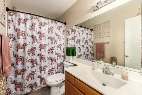 Bath - 4122 E Mountain Vista Dr, Phoenix, AZ 85048 photo 3 of 3