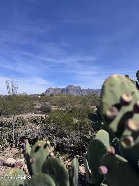 269 N Winchester Rd #36, Apache Junction, AZ 85119 photo 19