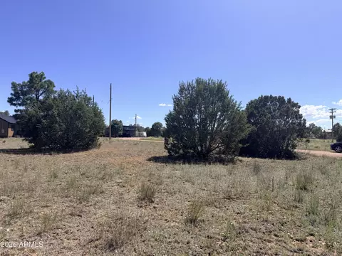 2287 Meadow Ln #165, Overgaard, AZ 85933