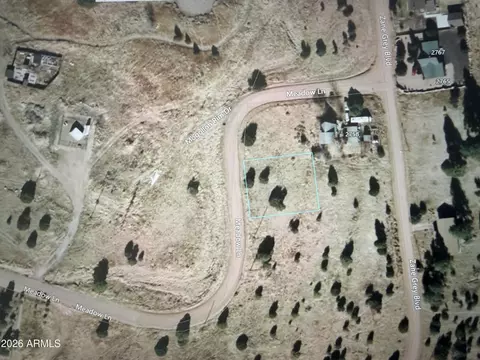 2287 Meadow Ln #165, Overgaard, AZ 85933