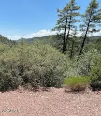 16 W Nn W Munsee Dr #34, Payson, AZ 85541