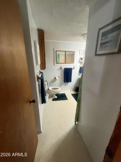 Bath - 84 W Haught Rd, Payson, AZ 85541 photo 5 of 14