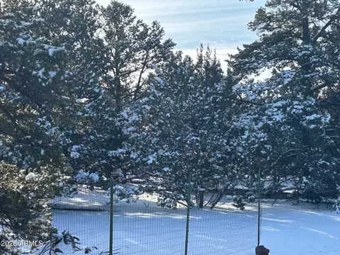 lot86 Ricks Rd #86, Vernon, AZ 85940