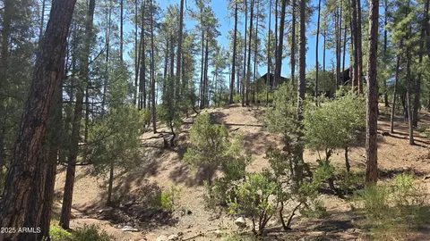 401 N Grapevine Dr #525, Payson, AZ 85541