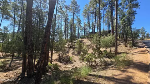401 N Grapevine Dr #525, Payson, AZ 85541 photo 3