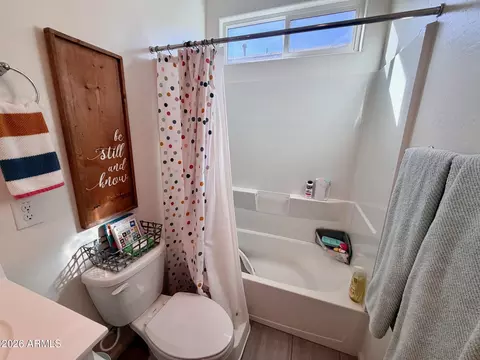Bath - 2037 S Saguaro Dr, Apache Junction, AZ 85120 photo 3 of 5