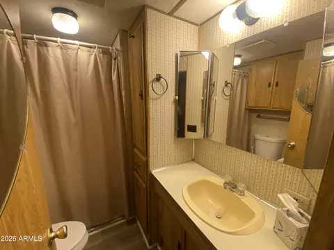 1079 S Shoshone Dr #79, Apache Junction, AZ 85119 photo 5