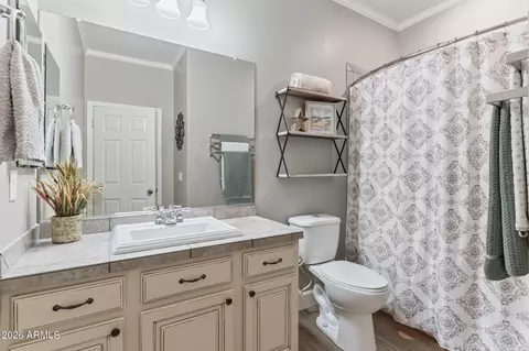 Bath - 1179 E Regent Dr, Gilbert, AZ 85298 photo 3 of 4