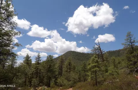 018 014u Pine Hollow Trl # E, Pine, AZ 85544