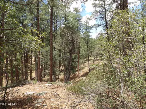 018 014u Pine Hollow Trail Apt 018e 014u Trl # E, Pine, AZ 85544 photo 5