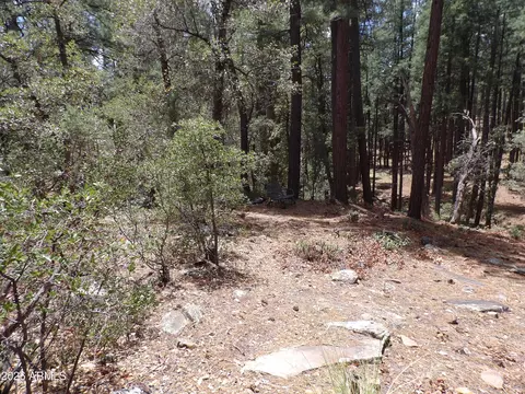 018 014u Pine Hollow Trail Apt 018e 014u Trl # E, Pine, AZ 85544 photo 6