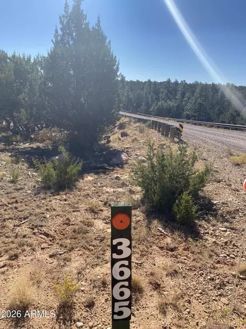 3665 Pinehurst Dr #170, Happy Jack, AZ 86024